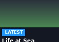 Life at Sea Cruises was canceled - why the three-year cruise did not take place