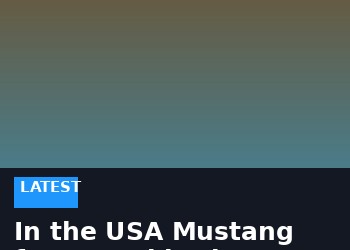 In the USA Mustang for a total, in the EU like new.  Why check the originality of the vehicle?